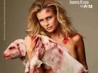 Joanna Krupa szokuje! Sesja z martwym jagnięciem